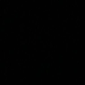 Meet your Posher, Braden